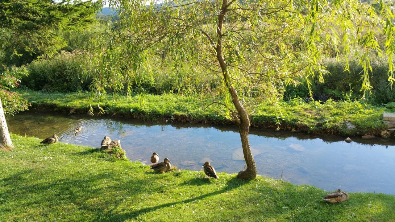 Hotel Pansion House Prijeboj Plitvička Jezera Zewnętrze zdjęcie
